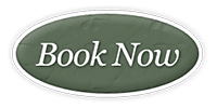 Book now button smaller